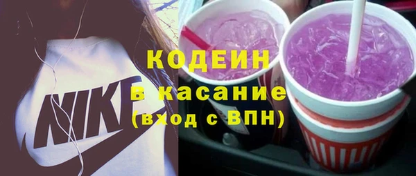 индика Зеленокумск