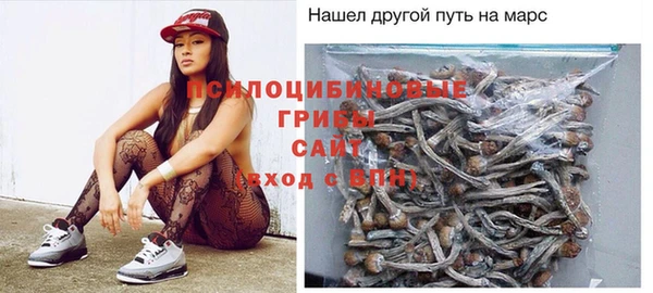 тгк Заволжск