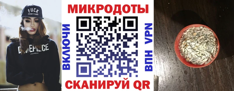 Купить закладки  Рошаль  Псилоцибиновые грибы GOLDEN TEACHER 